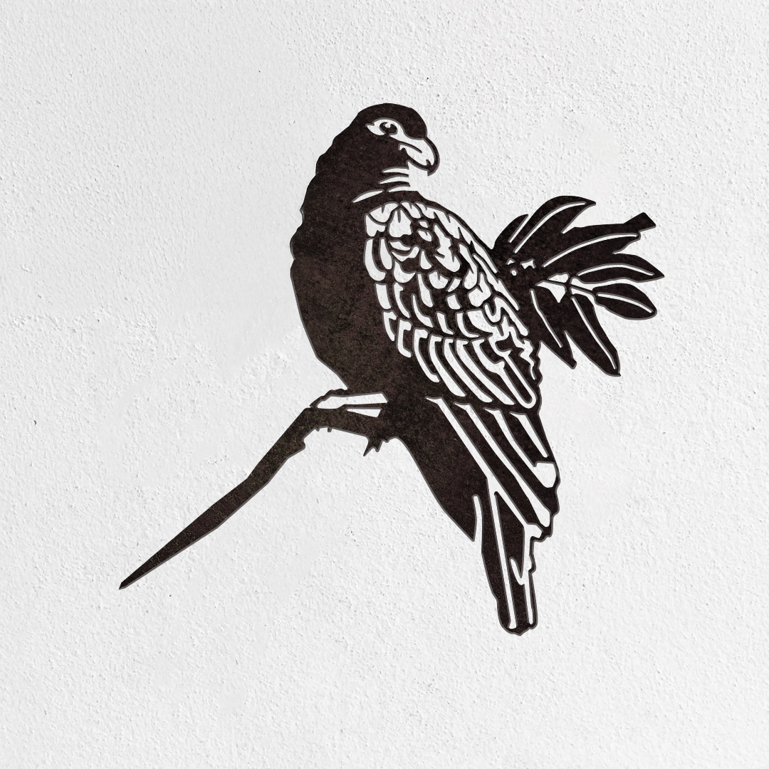The Manumea - Seconds by Metalbird UK is a premium black corten steel parrot silhouette perched on a branch, mounted on a white textured wall.