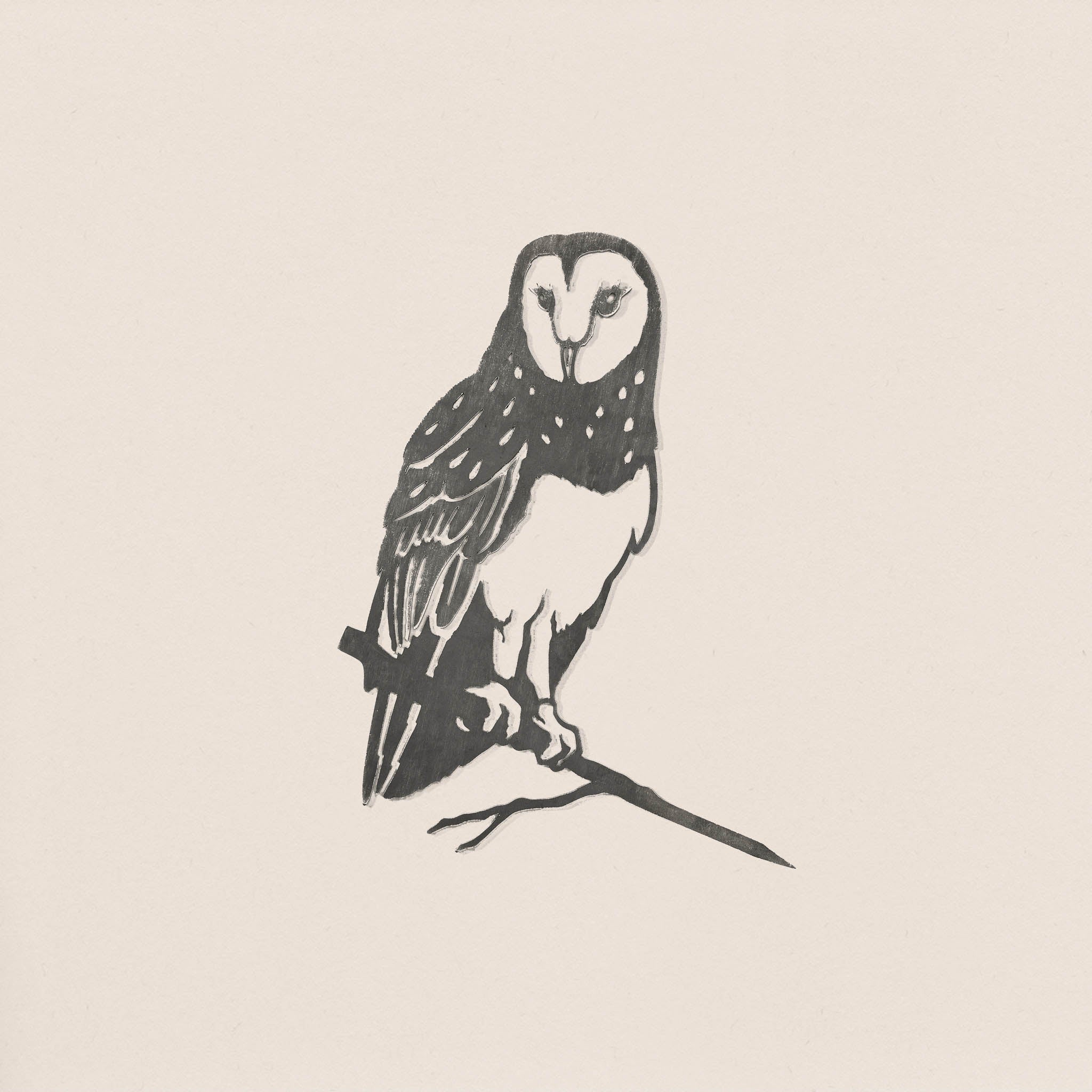 The Barn Owl by Metalbird UK is a black and white ink drawing of a barn owl perched on a branch, its body turned left against a plain light background—ideal inspiration for distinctive yard or garden art.