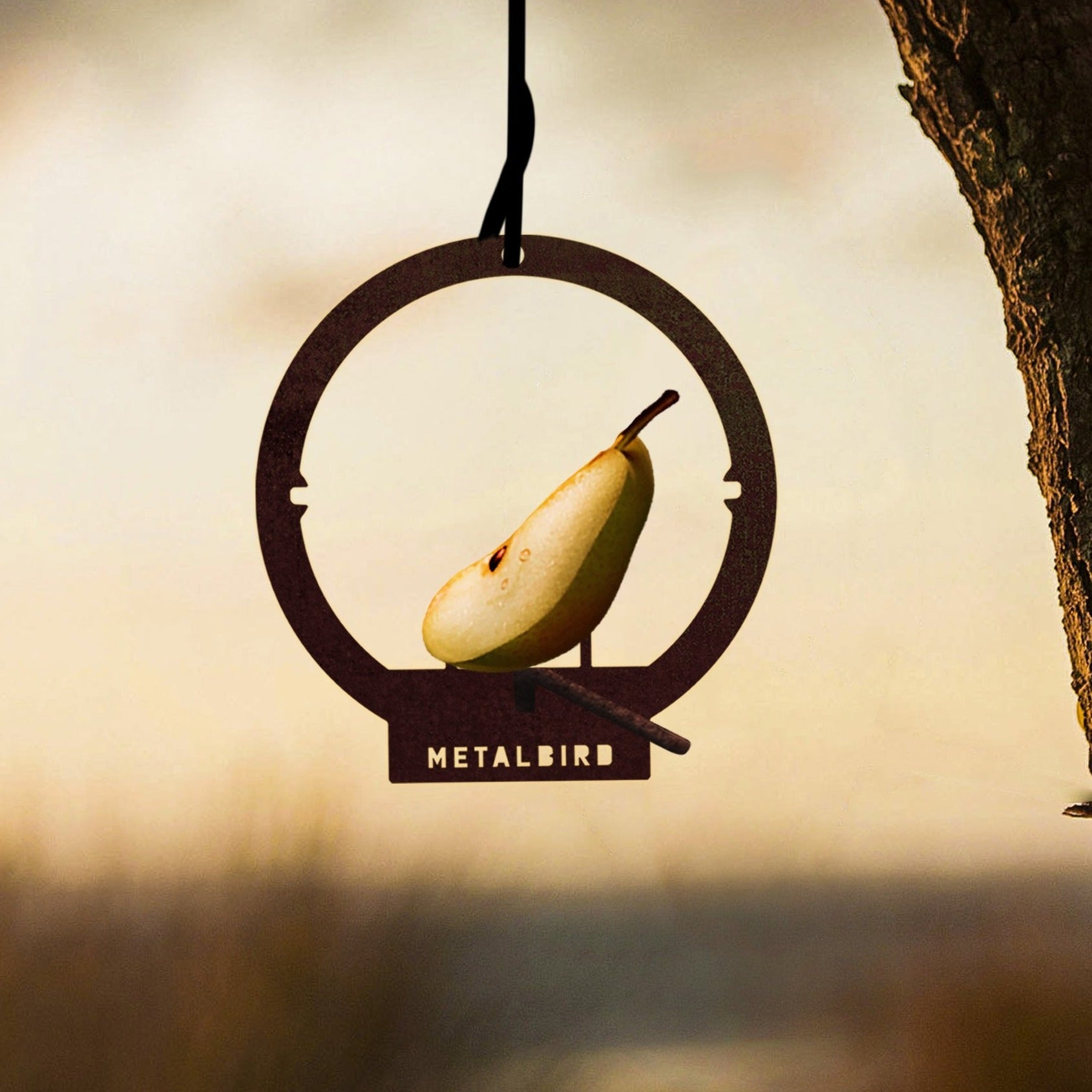 The Metalbird UK Hanging Feeder is a unique round metal bird feeder that holds a sliced pear. Perfect as garden art or a thoughtful gift, it hangs from a tree branch with "METALBIRD" cut out at the base.