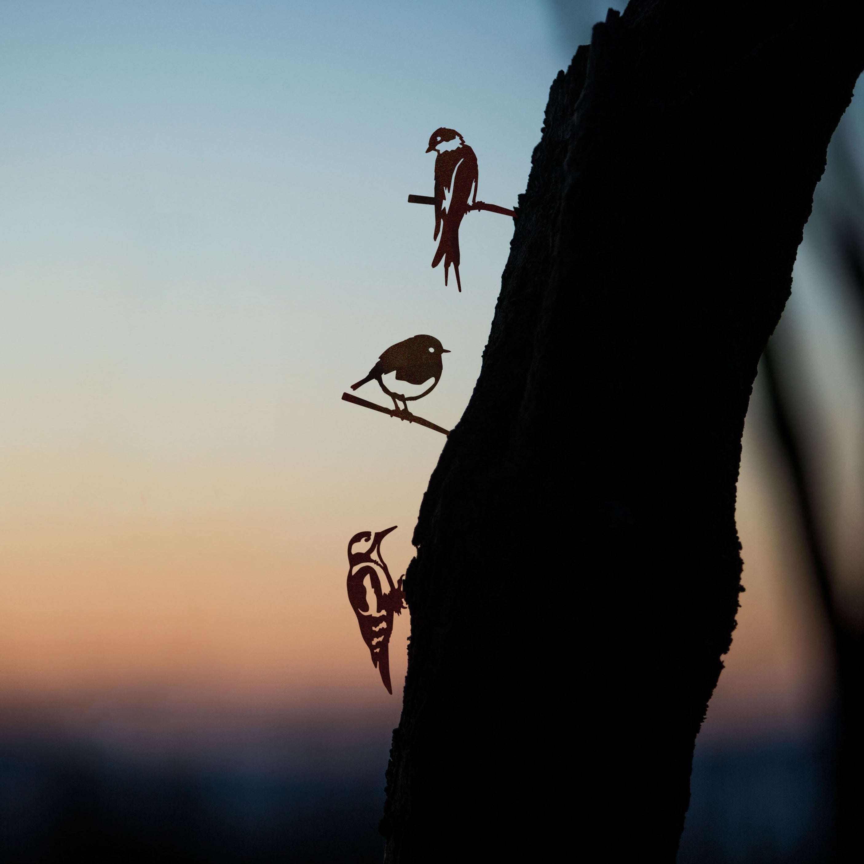 The Baby Bird Bundle by Metalbird UK features three bird silhouettes perched on branches and crafted in corten steel, creating stunning garden art that beautifully stands out against any outdoor backdrop.