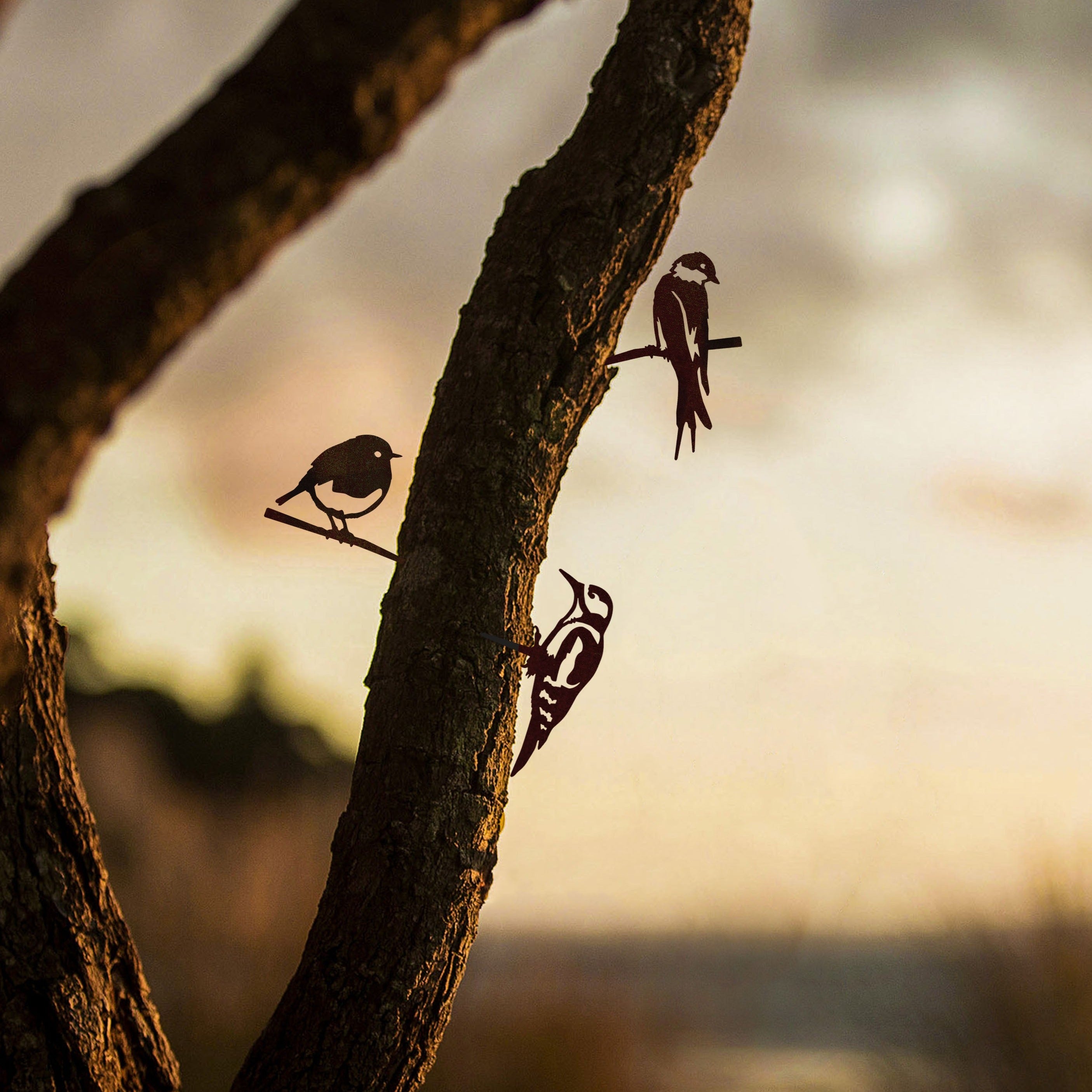 The Baby Bird Bundle by Metalbird UK features three bird silhouettes—two perched on metal branches, one clinging to a tree trunk—set against a beautifully blurred sunset sky for a peaceful, natural look.