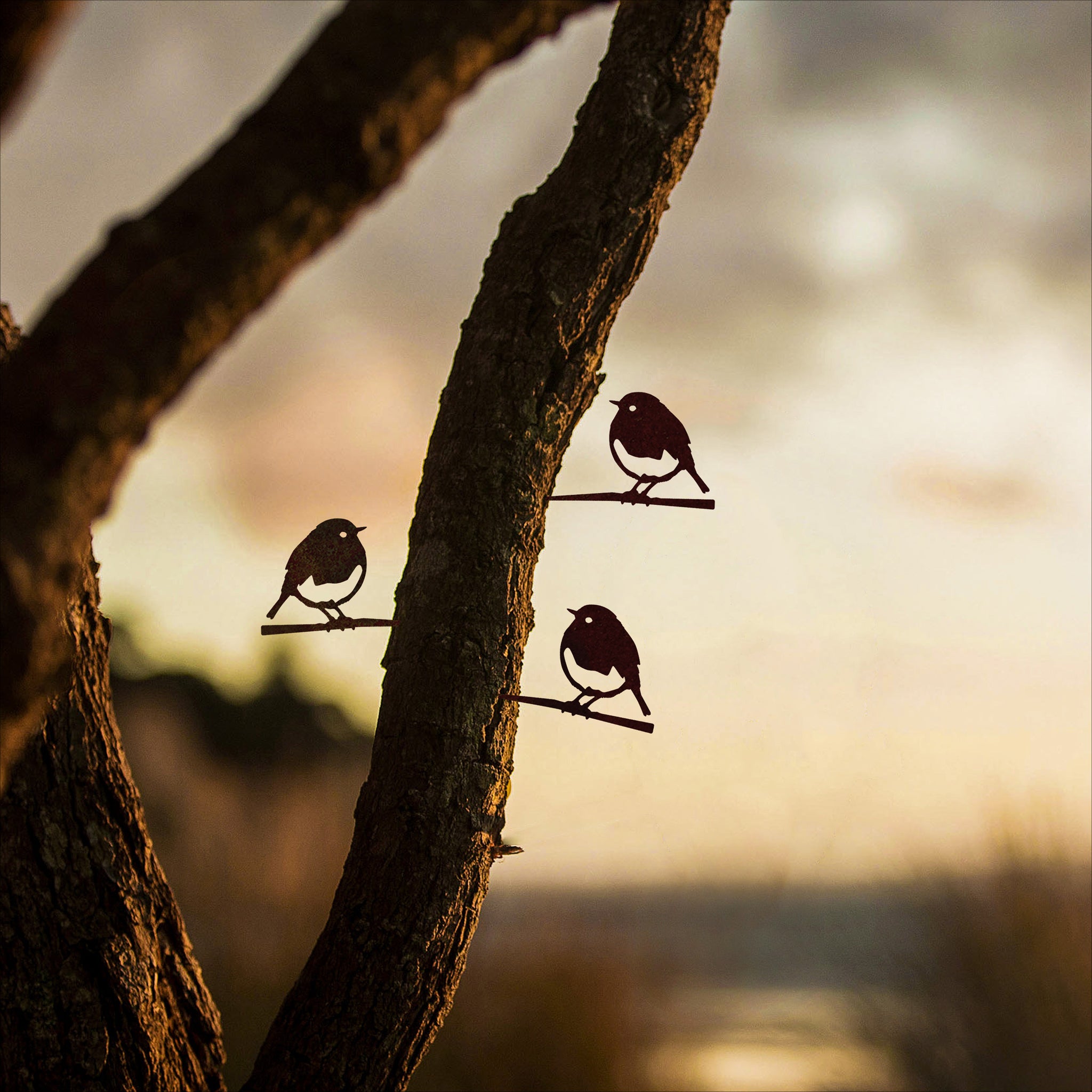 The Baby Bird Bundle - Robin Trio by Metalbird UK features three small robins perched on corten steel branches, their forms silhouetted against the sky—a peaceful scene and a perfect gift for nature lovers.