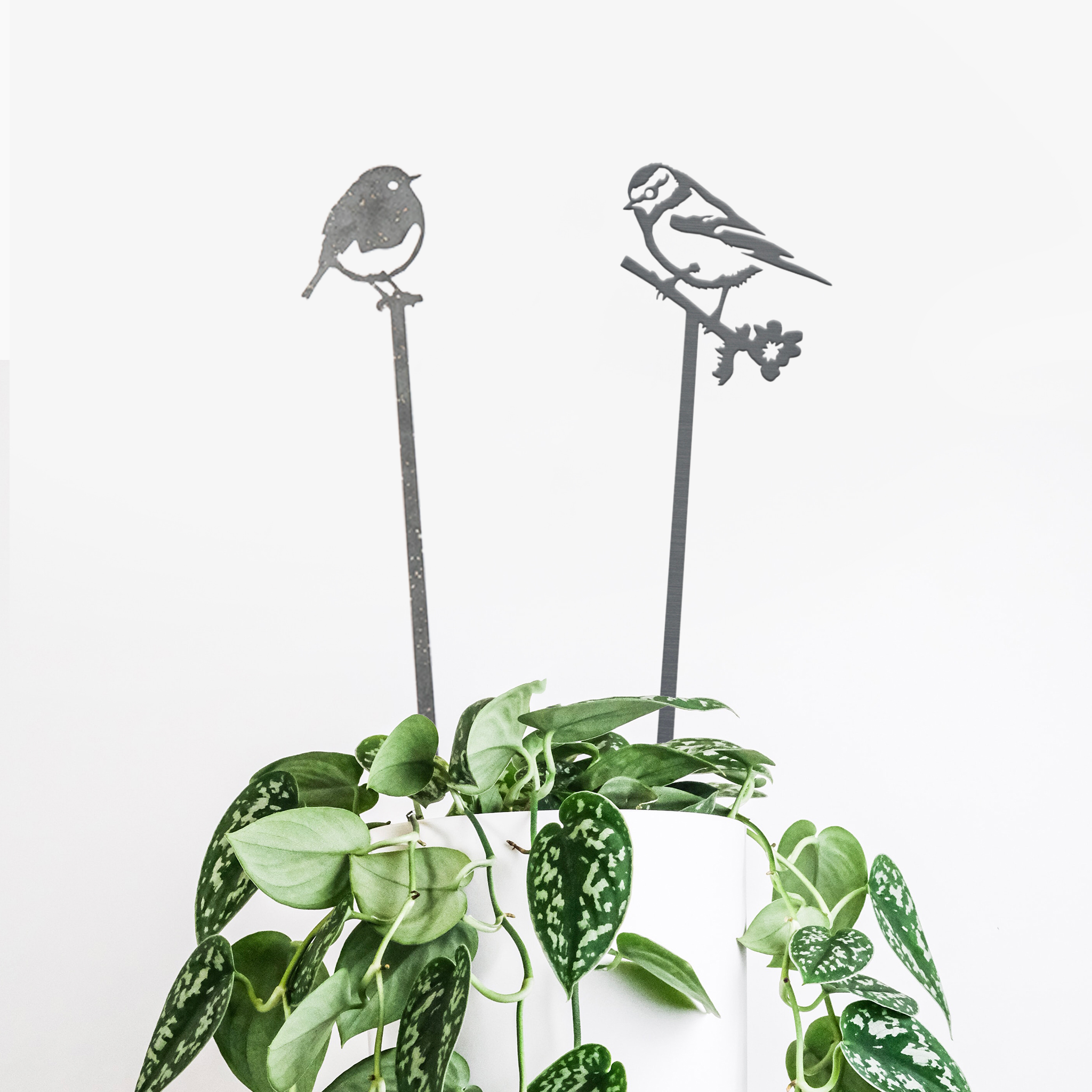The Pair Of Plant Stakes from Metalbird UK features two premium metal bird silhouettes on sticks nestled among trailing green houseplant leaves in a white pot, adding elegant yard art to any space against a plain white background.