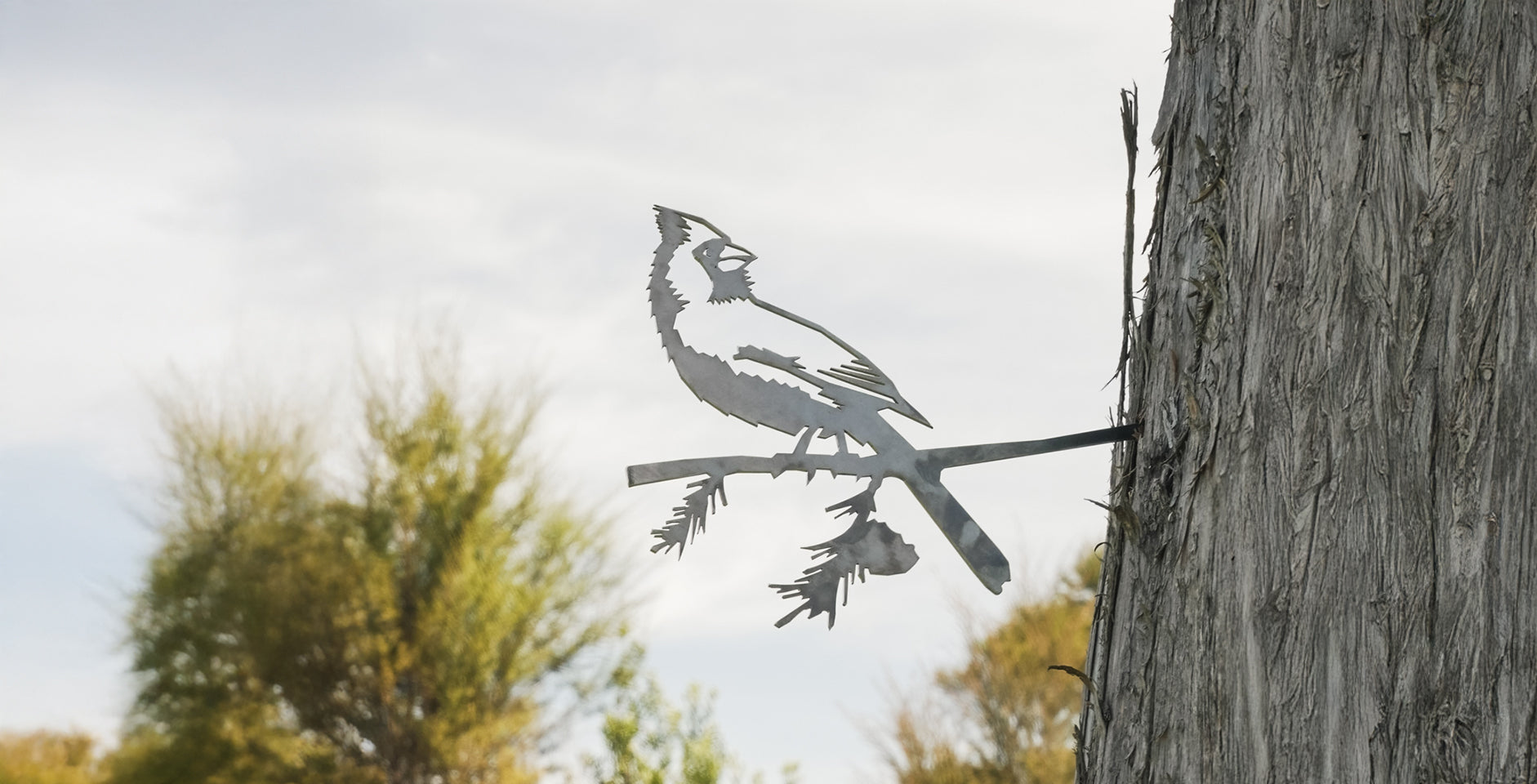 The Bird Seen Round the World