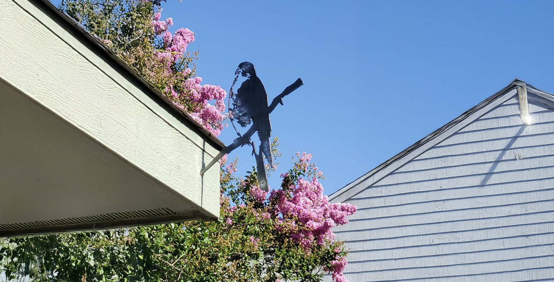 Your Next Chapter Needs Wings