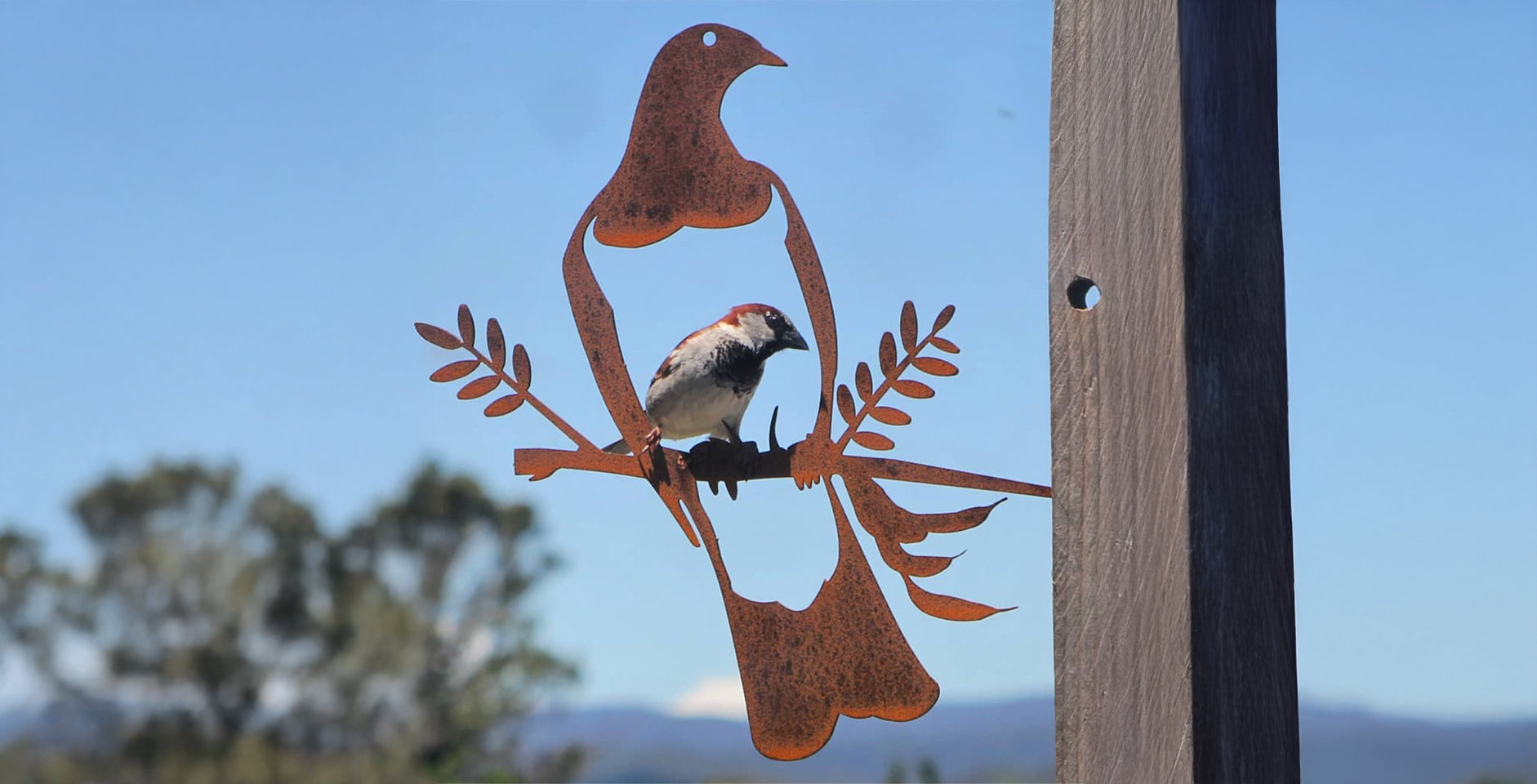 Why We Use Steel That Rusts