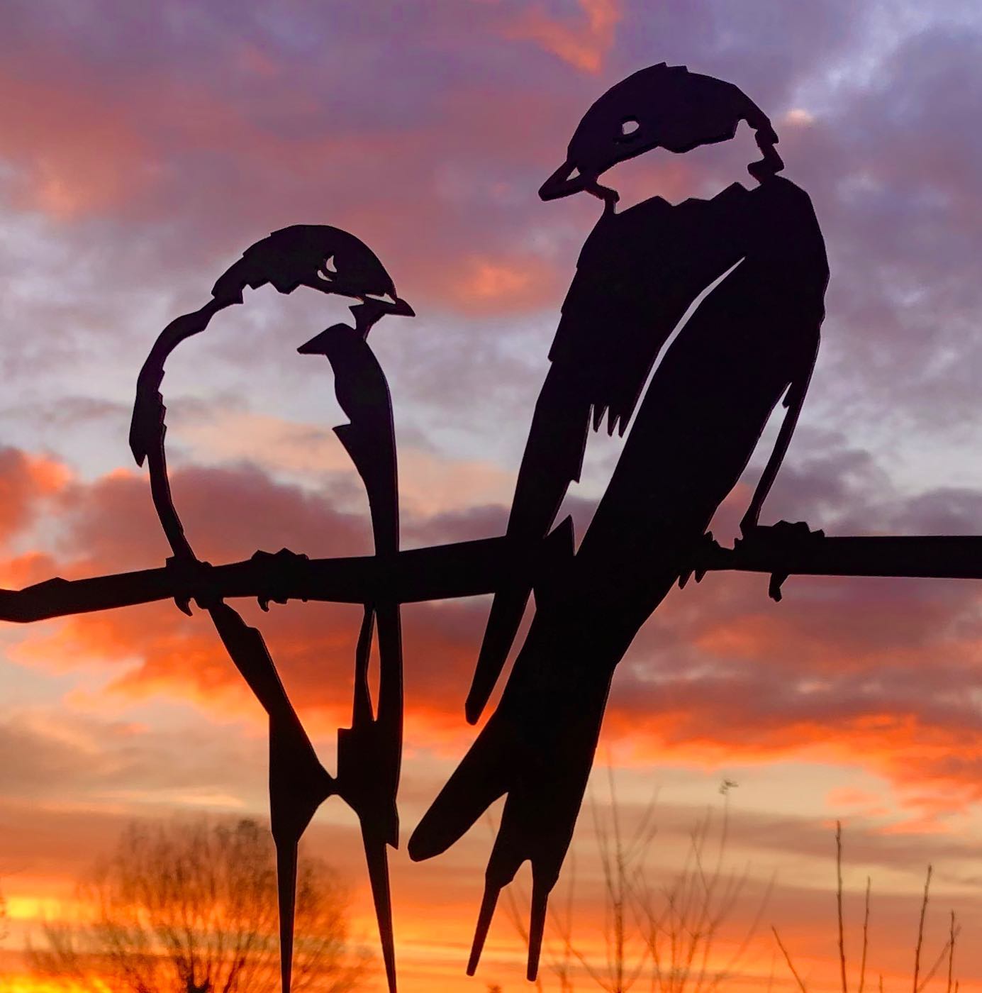 What Swallows Represent (and Why It Matters)