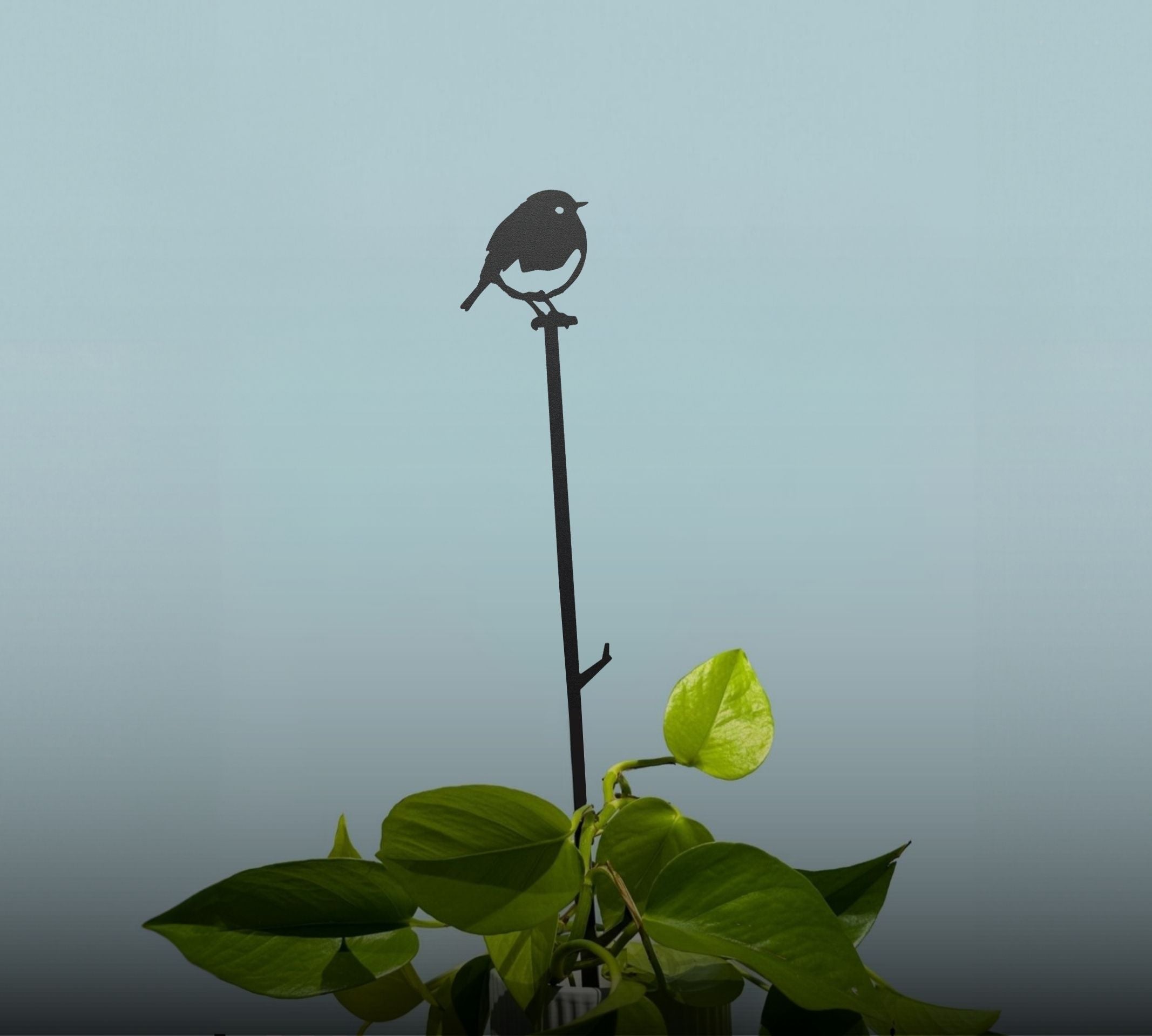 Plant Stakes