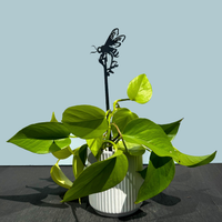 A leafy green pothos in a white ribbed pot with Metalbird UK's Honey Bee Single Plant Stake (70cm), set against a light blue background—an elegant indoor gift or artful yard accent.