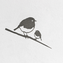 The Metalbird Seconds - Robin & Chick by Metalbird UK is a premium black metal silhouette of two birds on a branch, elegantly displayed on a white textured wall.