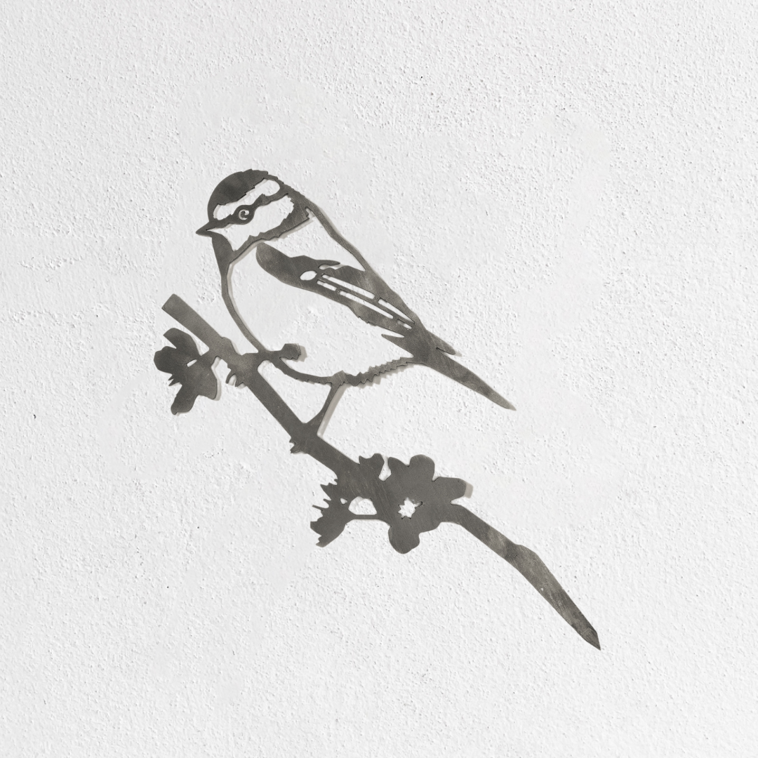 Blue Tit - Seconds