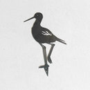 The Metalbird UK "Metalbird Seconds - Black Stilt" features a shorebird silhouette with minor flaws, standing on one leg—ideal as discounted garden bird decor for your white textured wall.