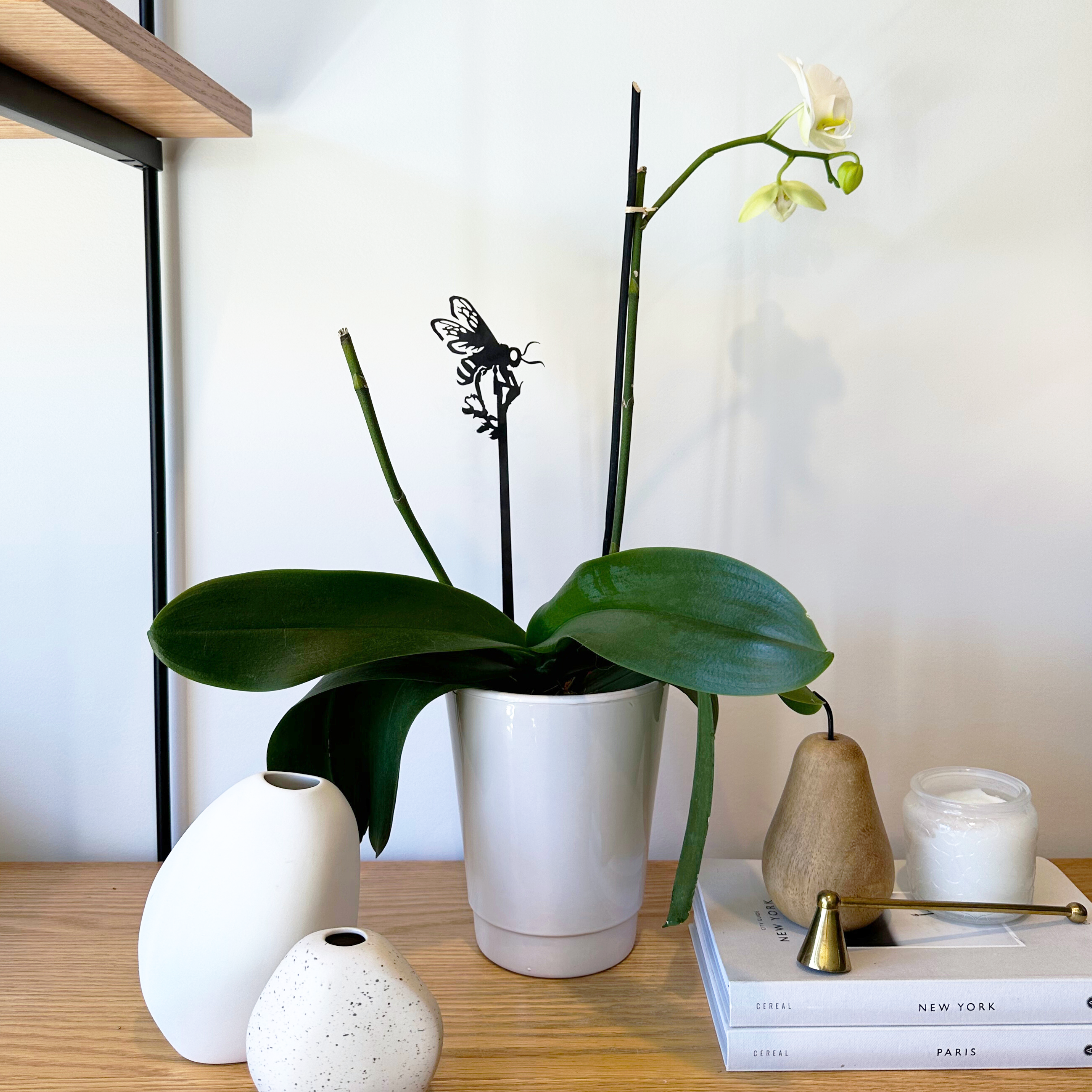 A white orchid with large green leaves in a ceramic pot sits on a wooden shelf, accompanied by the Metalbird UK Honey Bee Single Plant Stake (70cm), decorative vases, a candle, books, and a gold pear-shaped ornament near an elegant metal silhouette.