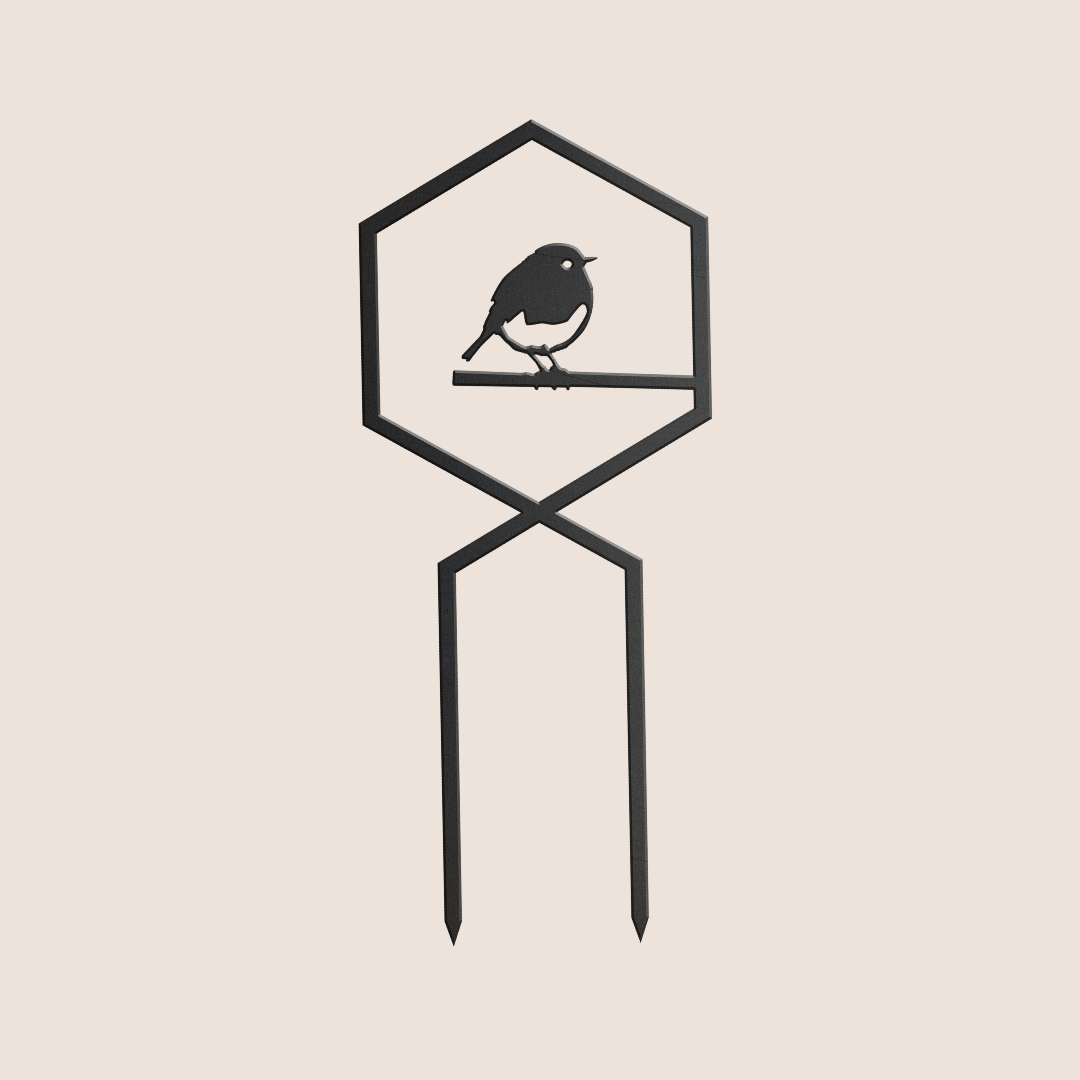 Robin Plant Trellis