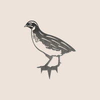 The Metalbird UK 'Common Quail' features a bold black and white silhouette illustration of a quail standing in profile against a plain light background.