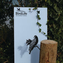 The Manumea sign by Metalbird UK - CC features a black bird silhouette perched on a branch with ivy climbing over the sign beside a wooden post, set against lush green leaves.