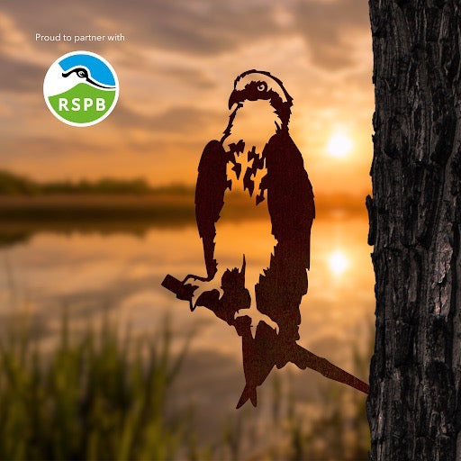 Silhouette of an Osprey perched on a tree at sunset by a lake, perfect as yard art or a unique gift from Metalbird UK. Grassy reeds and blurred water create a tranquil backdrop. The RSPB logo and ‘Proud to partner with’ are shown in the top left corner.
