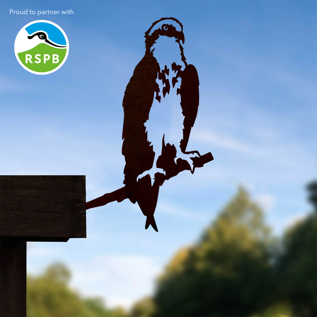 Osprey
