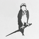 Osprey - Seconds by Metalbird UK is a metal bird of prey silhouette yard art, featuring sharp edges and detailed feather cutouts, perched on a branch and mounted against a white textured wall.
