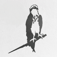 Osprey - Seconds by Metalbird UK is a metal bird of prey silhouette yard art, featuring sharp edges and detailed feather cutouts, perched on a branch and mounted against a white textured wall.