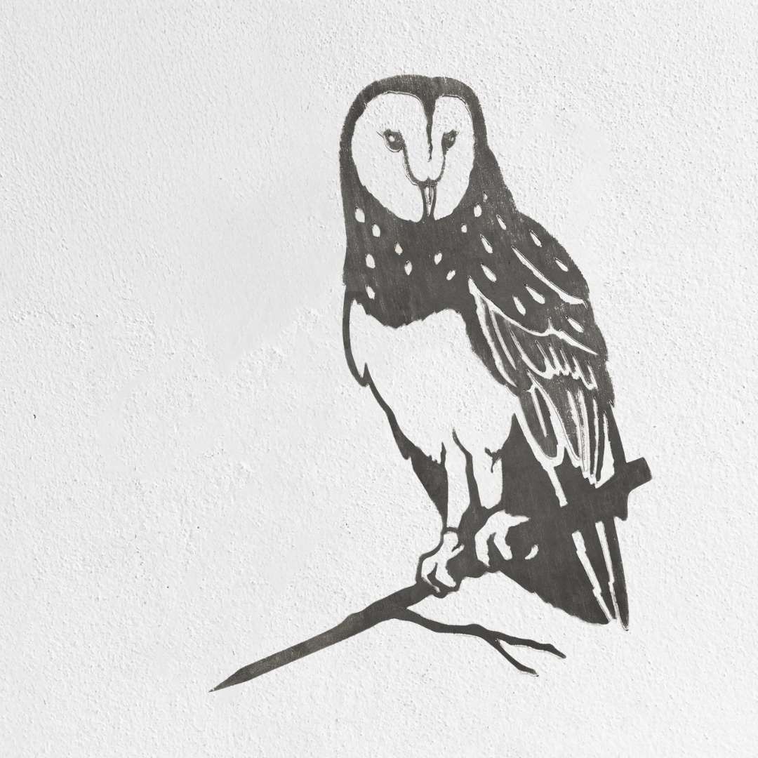 Barn Owl - Seconds
