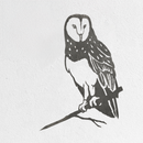 Barn Owl - Seconds by Metalbird UK: A black and white stencil-style silhouette of a barn owl perched on a branch, featuring detailed feathers and a heart-shaped face, painted on textured white wall.