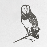 Barn Owl - Seconds by Metalbird UK: A black and white stencil-style silhouette of a barn owl perched on a branch, featuring detailed feathers and a heart-shaped face, painted on textured white wall.