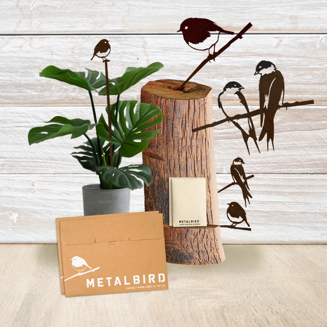 Christmas Essentials Gift Pack