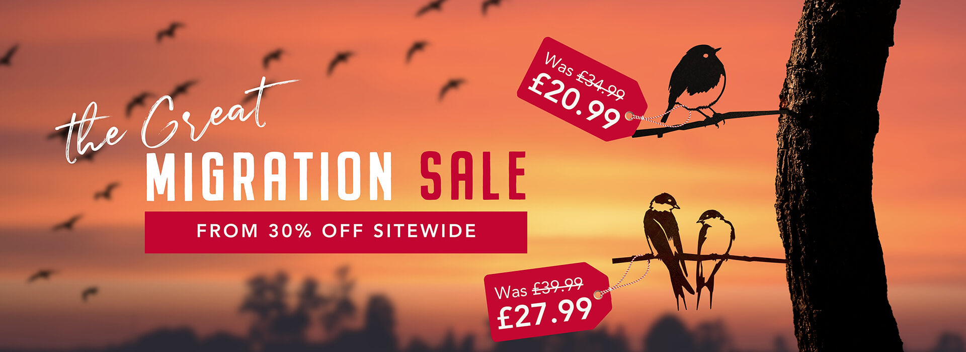 Promotional banner for a migration sale with bird silhouettes and sunset background