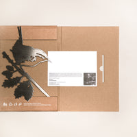 The Wren by Metalbird UK is a metal bird and branch silhouette, packaged in a brown cardboard holder beside an info card with text and a black-and-white photo. Ideal as a gift or yard art, it’s shown against a plain light background.