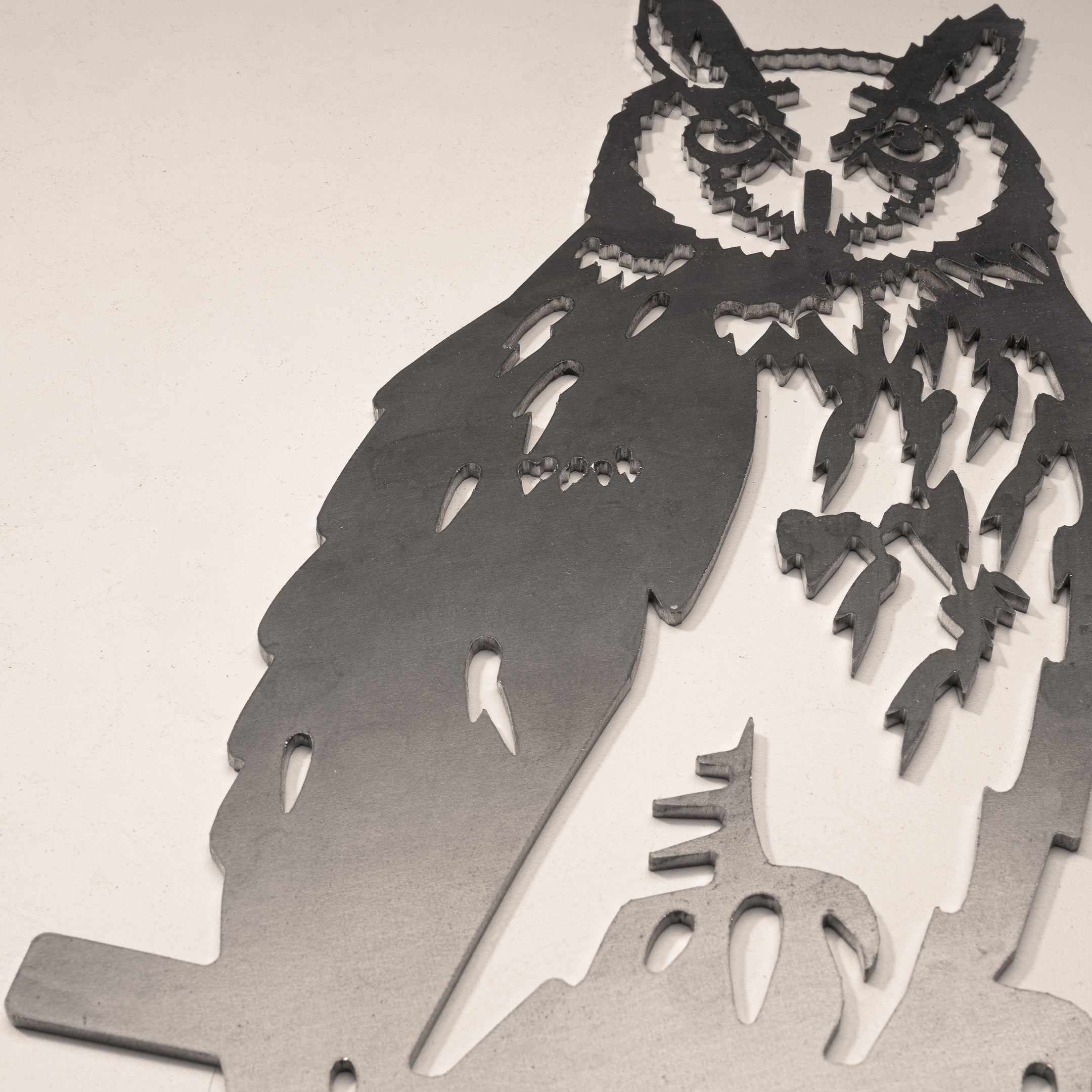 Long-eared Owl