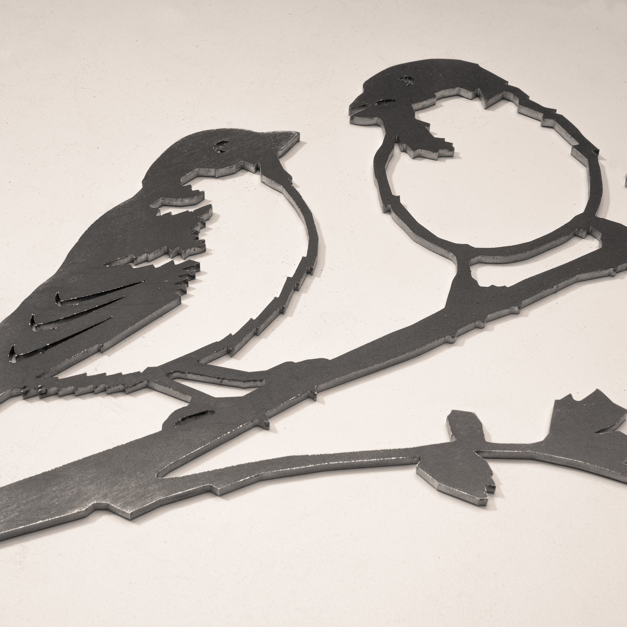 Bird product deals