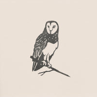 The Barn Owl by Metalbird UK is a black and white ink drawing of a barn owl perched on a branch, its body turned left against a plain light background—ideal inspiration for distinctive yard or garden art.