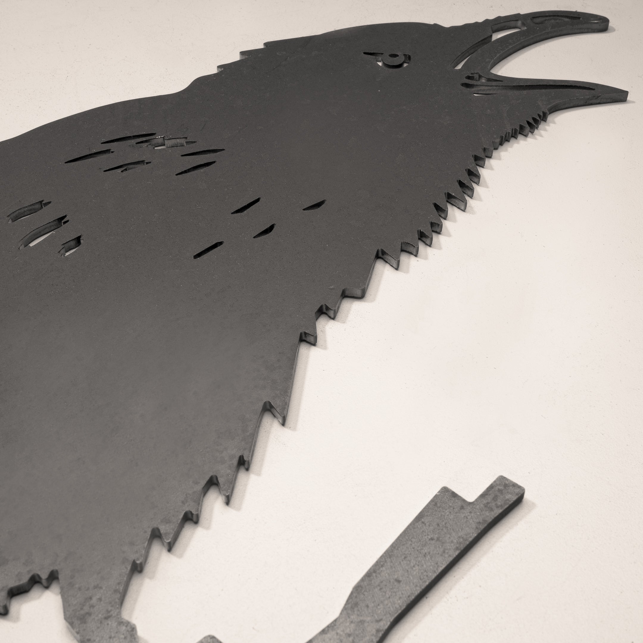 Raven