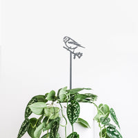 Add a whimsical touch to your potted plants with the Pair Of Plant Stakes by Metalbird UK—featuring heart-shaped leaves with white spots and topped by a decorative metal bird, perfect as a gift or eye-catching garden accent.