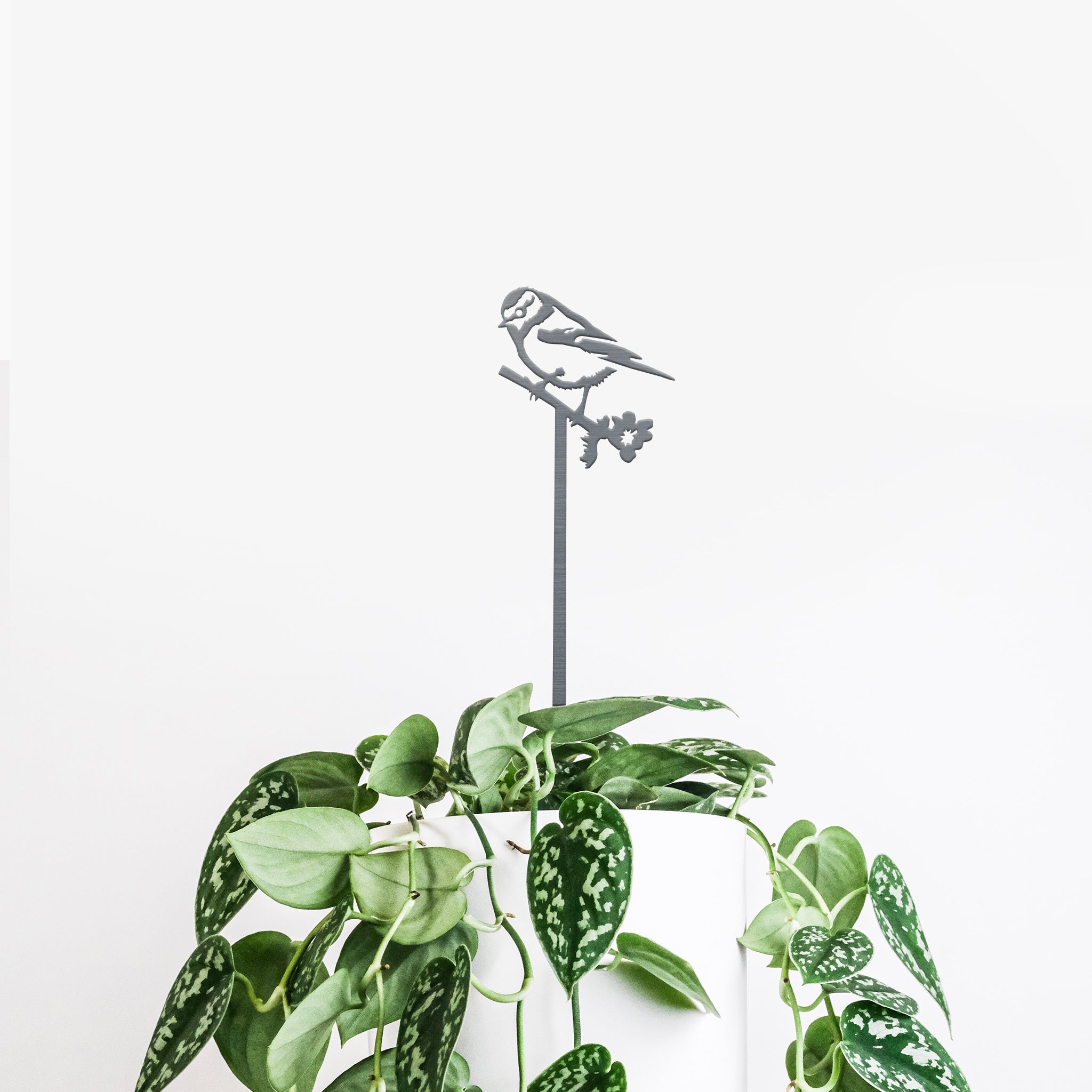 Pair Of Plant Stakes