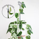 A hand holds a white pot with a trailing vine plant supported by the Metalbird UK Blue Tit Plant Stake – 70cm. An inset shows how to add an extender for extra stake height. Text reads, “Add extender for extra height.”.