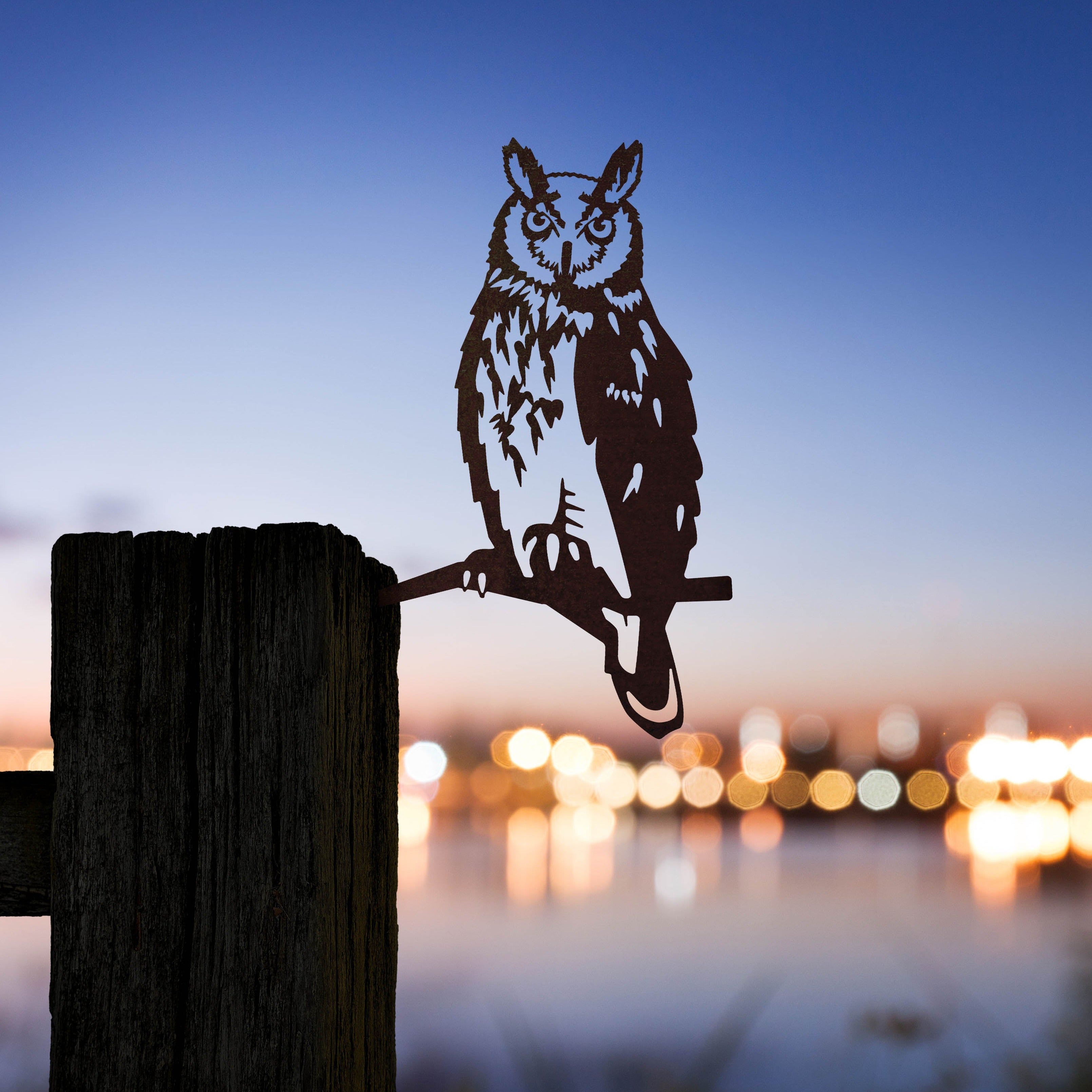 Long-eared Owl