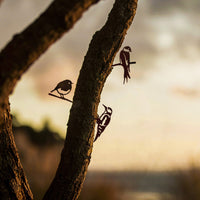 The Baby Bird Bundle by Metalbird UK features three bird silhouettes—two perched on metal branches, one clinging to a tree trunk—set against a beautifully blurred sunset sky for a peaceful, natural look.