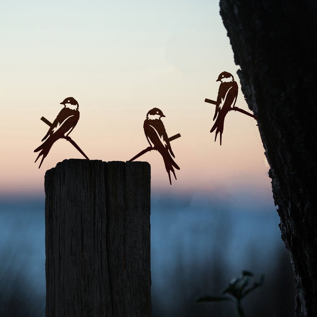 Baby Bird Bundle - Swallow Trio