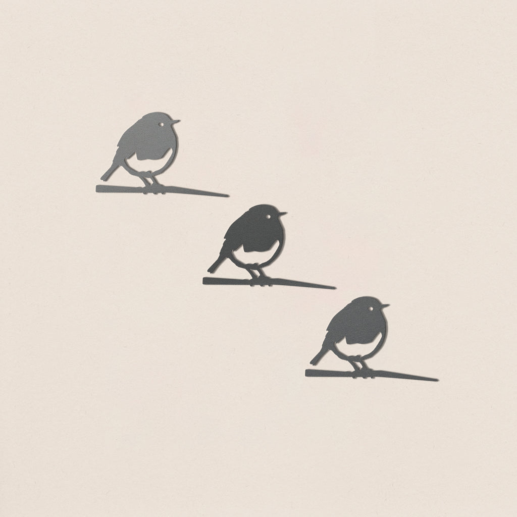 Baby Bird Bundle - Robin Trio