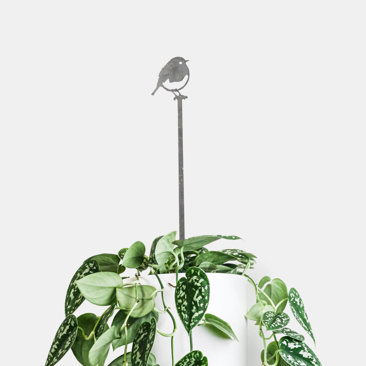 Robin-topped steel plant stake standing among climbing leaves in a white plant pot.