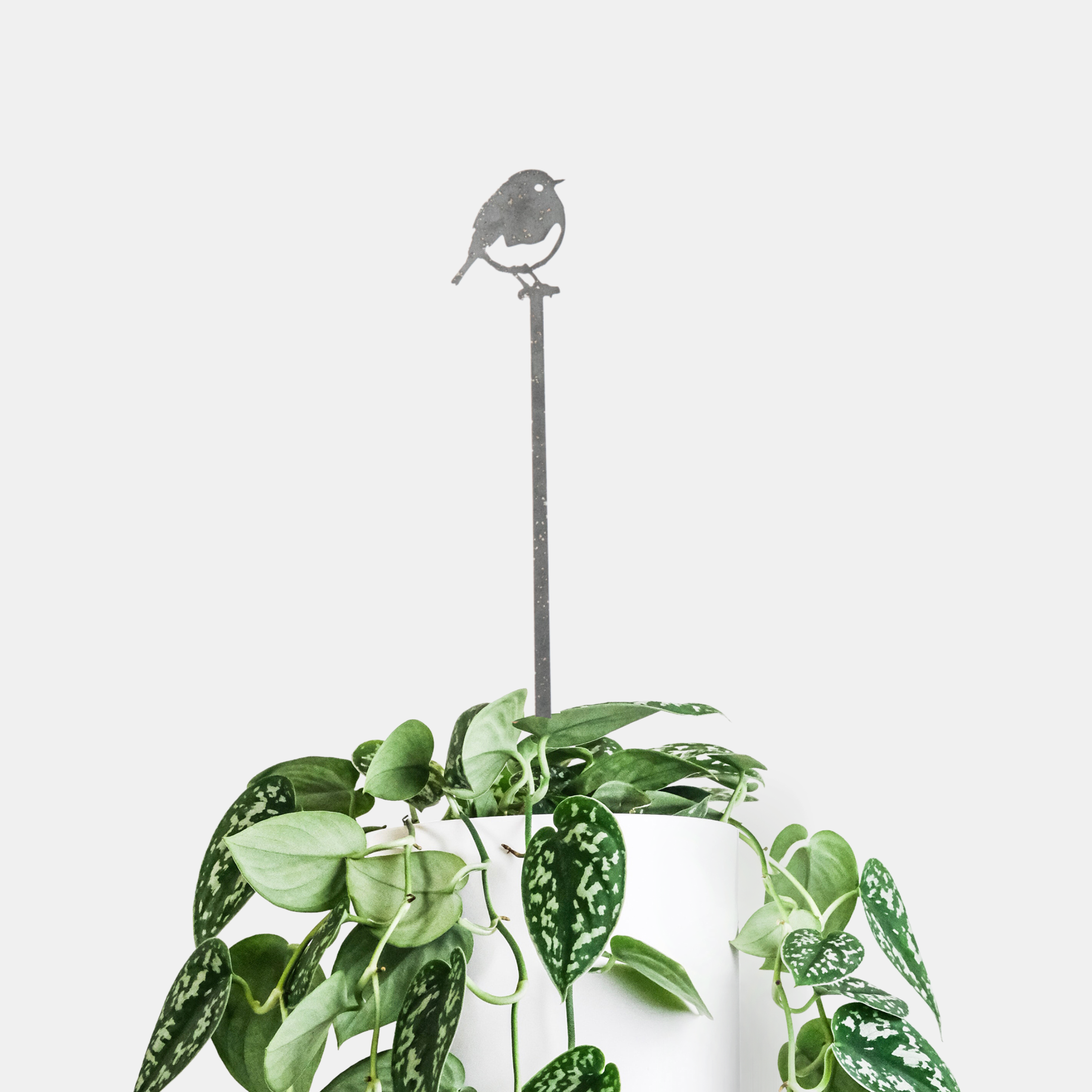 Robin Plant Stake - 70cm