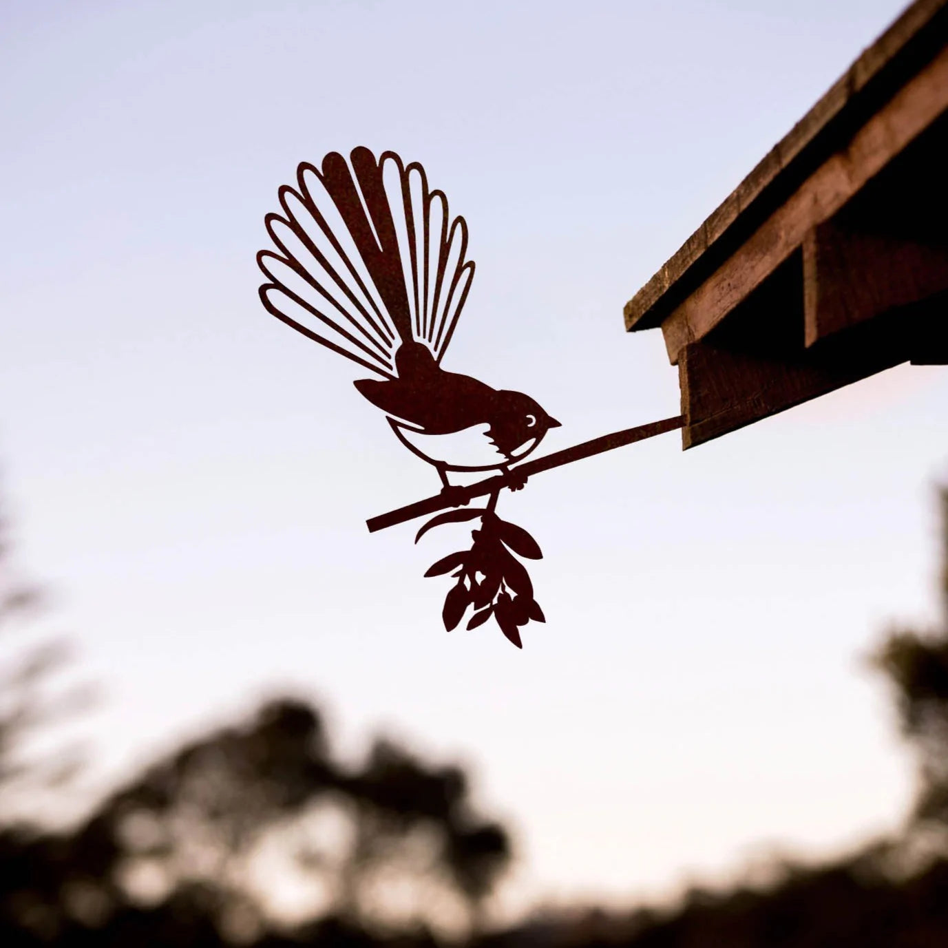 Fantail (Piwakawaka)
