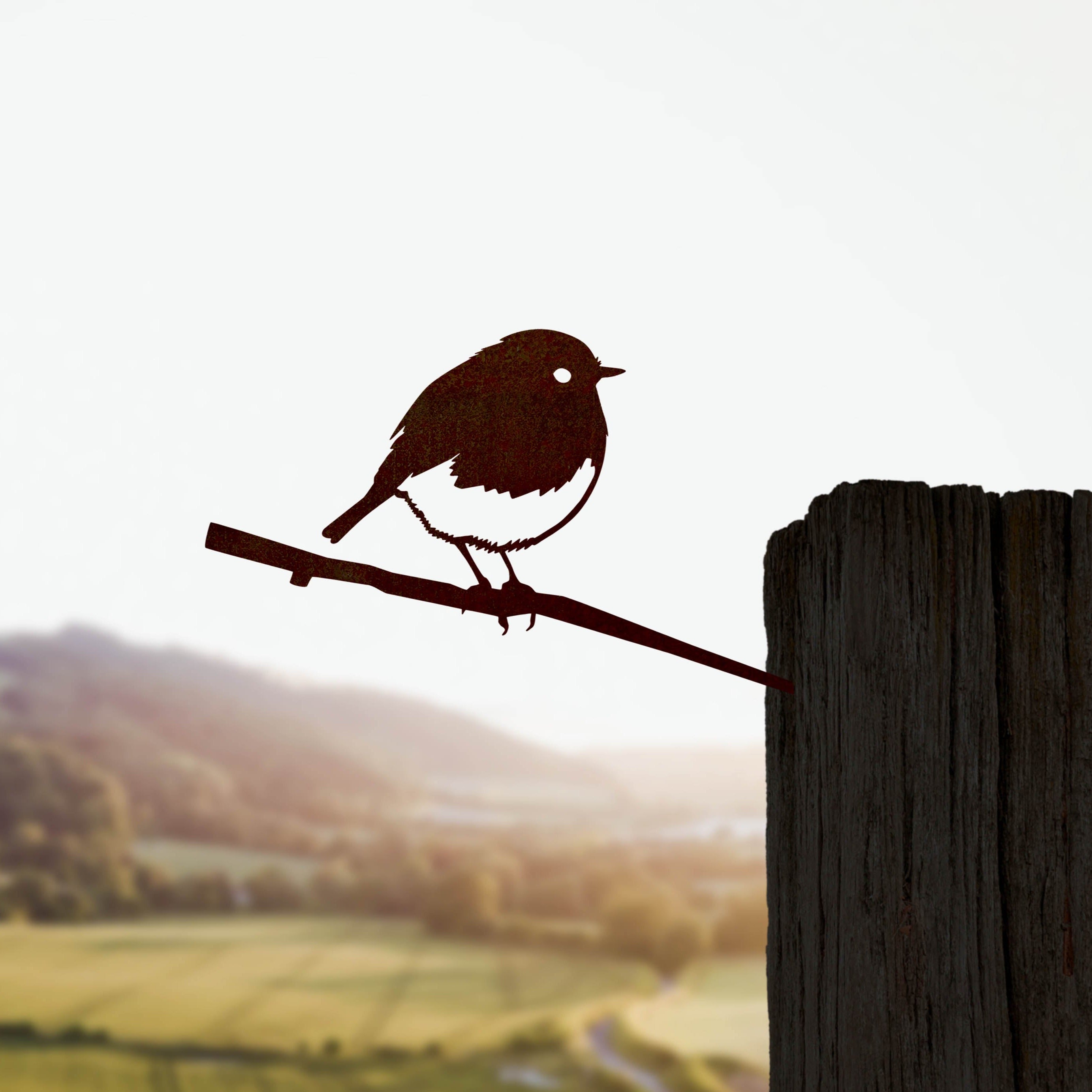 Robin