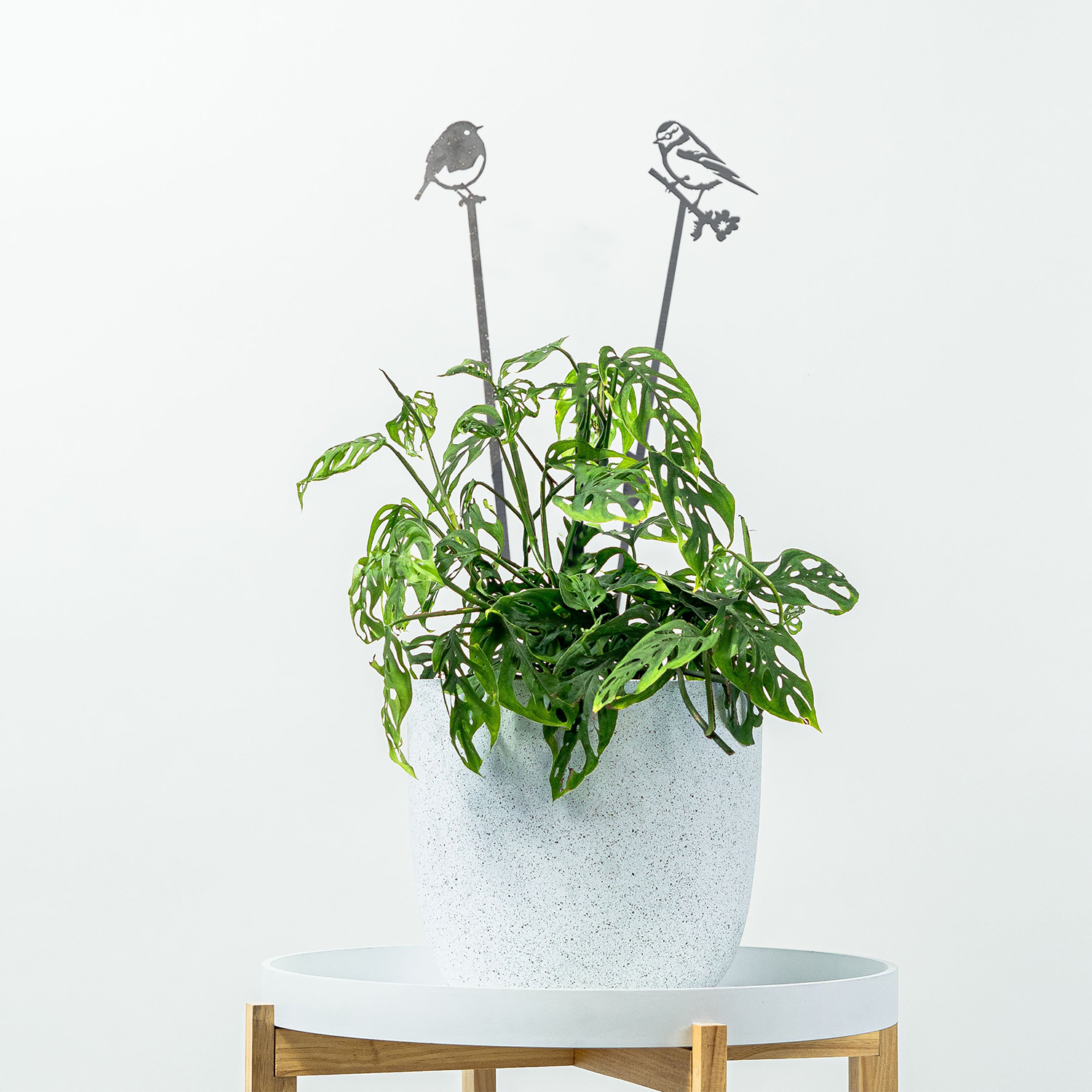 Pair Of Plant Stakes