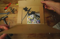 Fantail (Piwakawaka)
