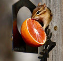 A chipmunk sits on the Metalbird UK Bird Feeder, which resembles garden art and is mounted on a wooden post, enjoying a halved orange.