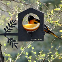 A vibrant orange and black bird enjoys a half orange inside the Metalbird UK Bird Feeder, a house-shaped metal piece with a branch. This garden art stands out beautifully against lush green foliage in the background.