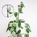 A hand displays a white pot with a trailing pothos, supported by a Metalbird UK Pair Of Plant Stakes. An inset highlights an extender attachment that adds height to the metal stakes.